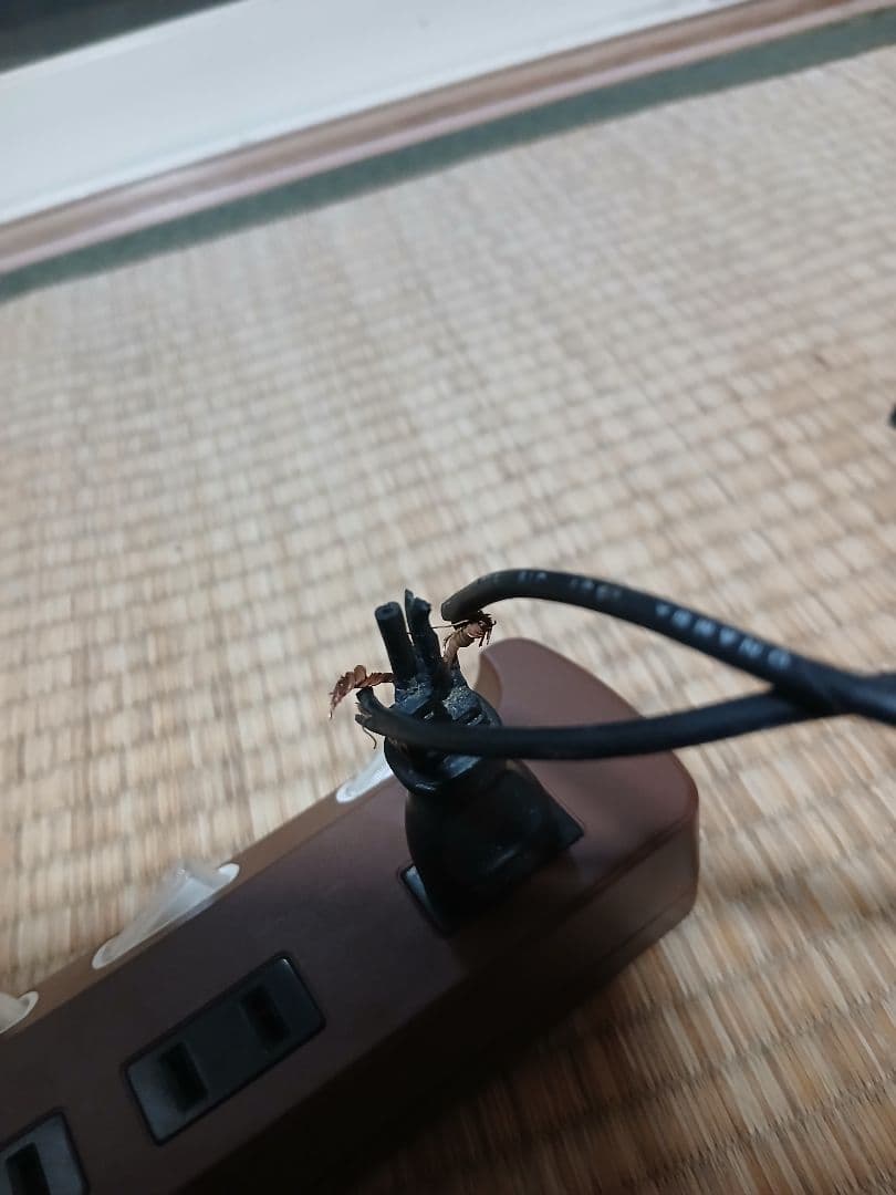 SHARP SF1 テレビ ビデオ 14型内臓テレビゲーム機能