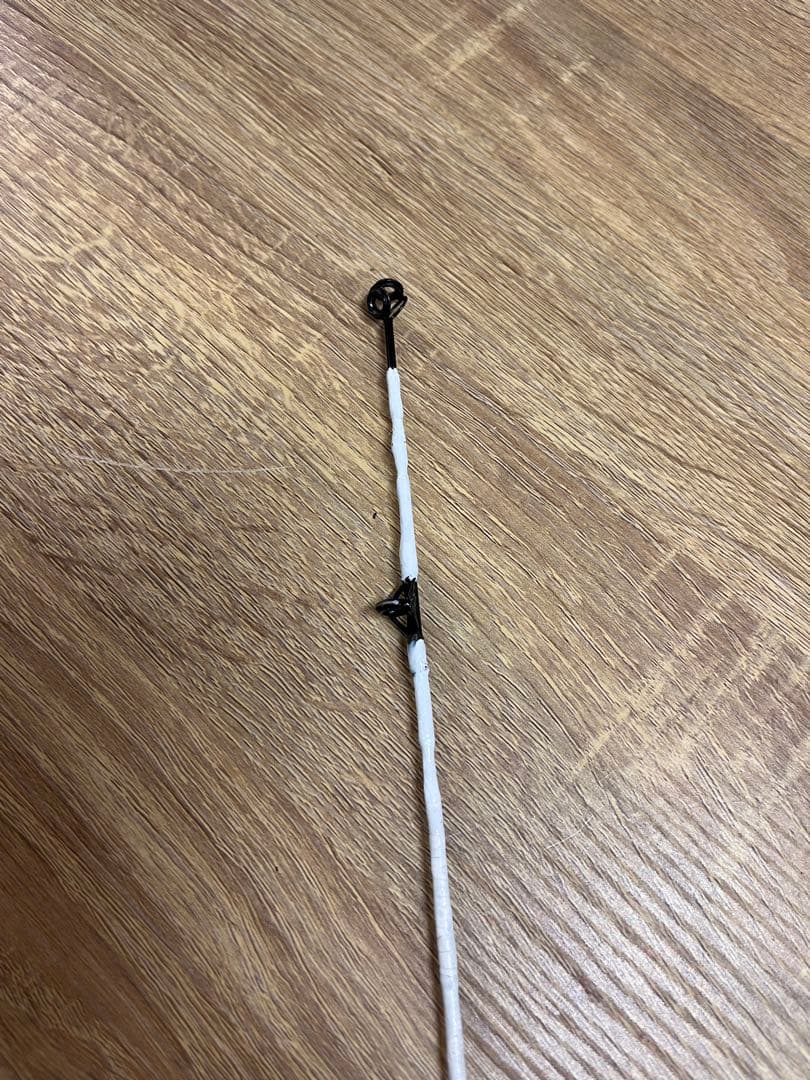 小笠原　24号524 カーボウィスカー