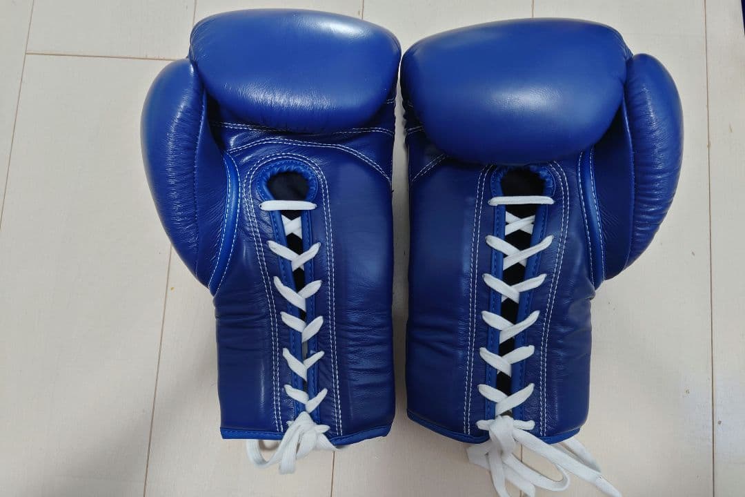 ＷＩＮＤＹ １６オンスグローブ　青　紐式