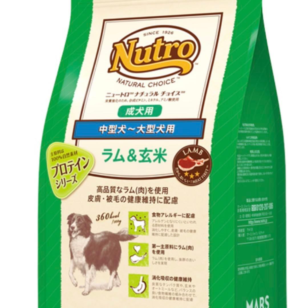 ナチュラルチョイス ラム玄米 成犬用ドッグフード
