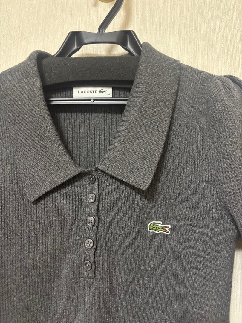LACOSTE/ポロリブニット レディース スナイデル