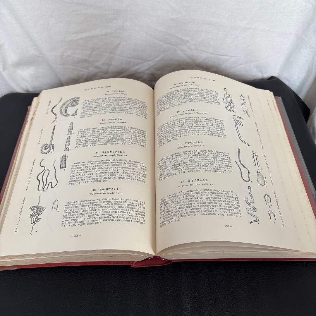 新日本動物図鑑 上・中・下 全3巻セット 北隆館