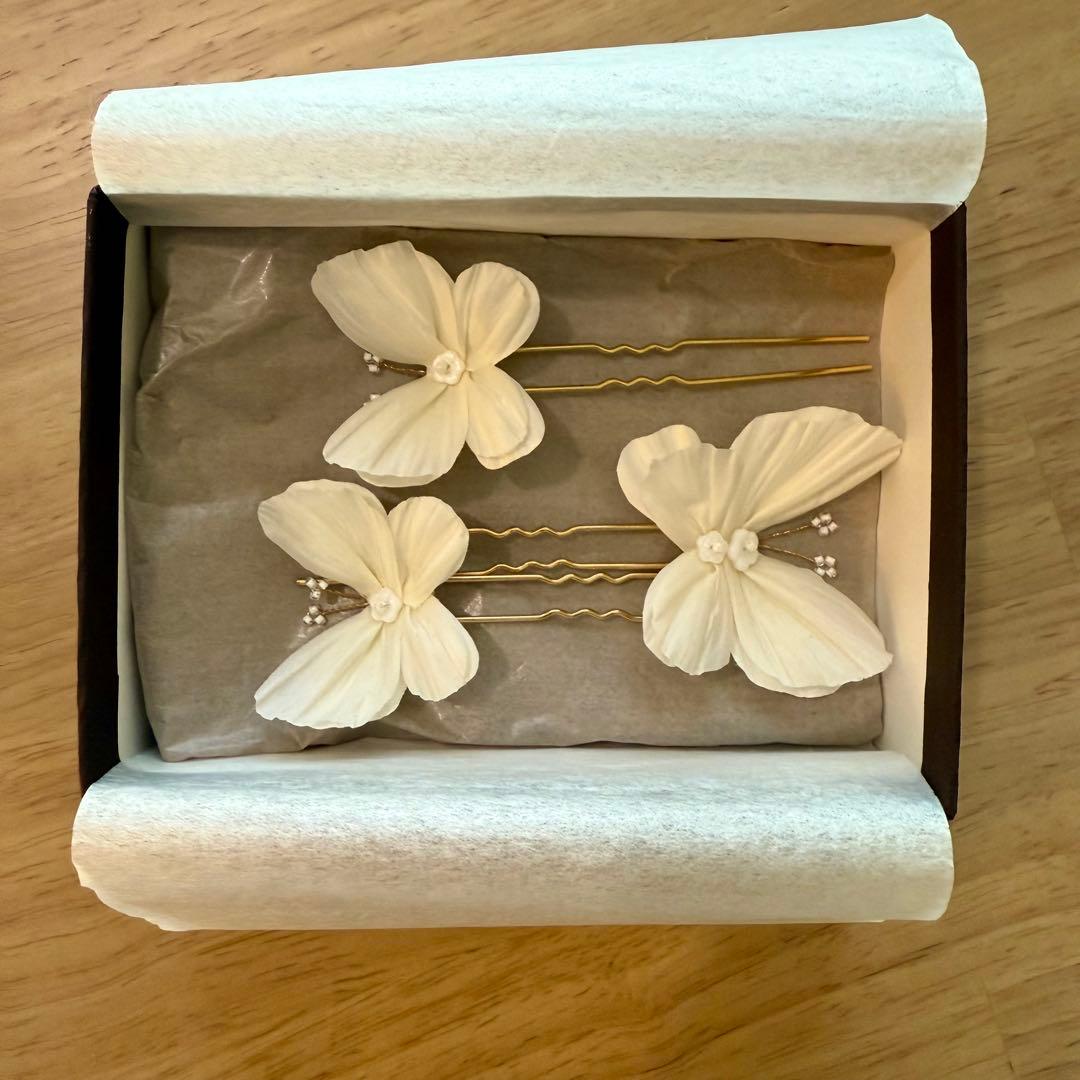 きなこ　orgablanca カプリピン