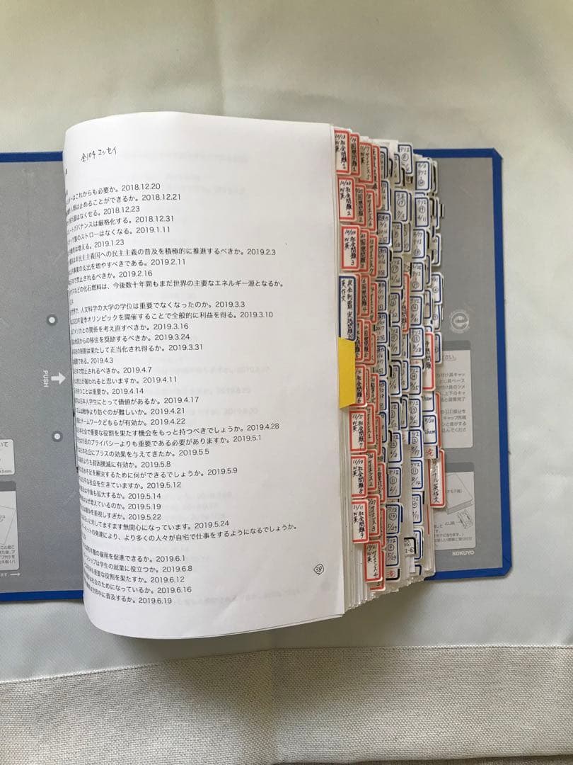 英検1級　エッセイ　英作文　1次試験　記述