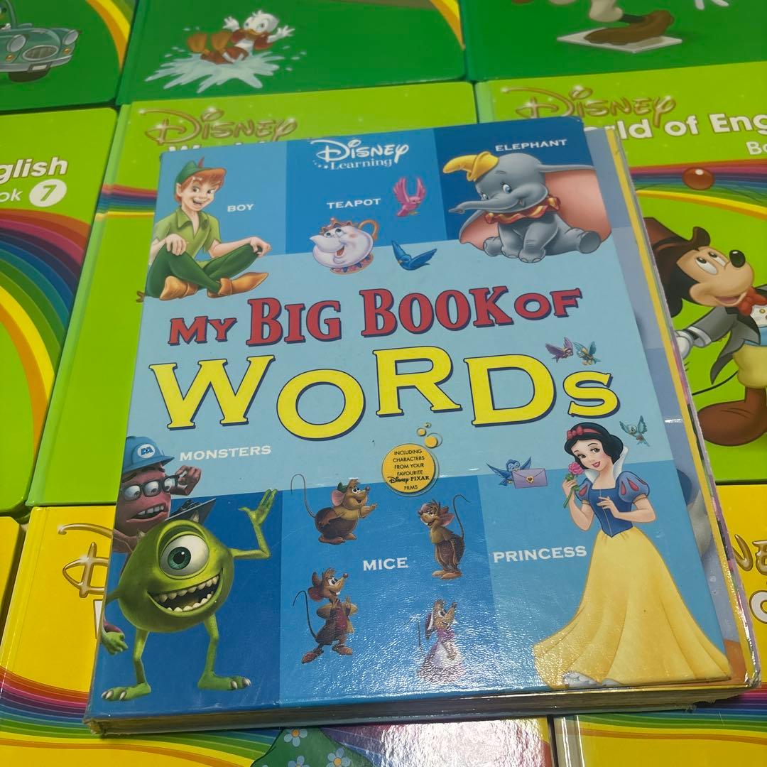 Disney World of English セット