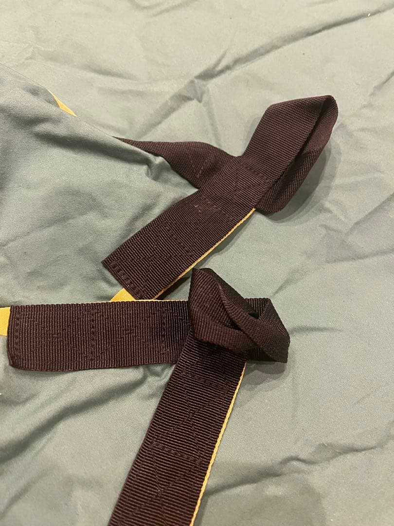 テンマクデザイン　ムササビウィング　19ft　グランデvc　焚き火バージョン