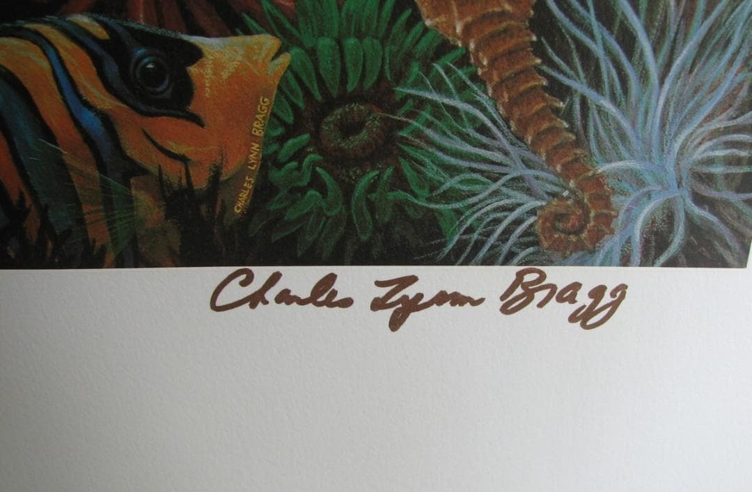 チャールズリンブラッグ「ウォーターエッジ」オフセットリト,究極の水族館