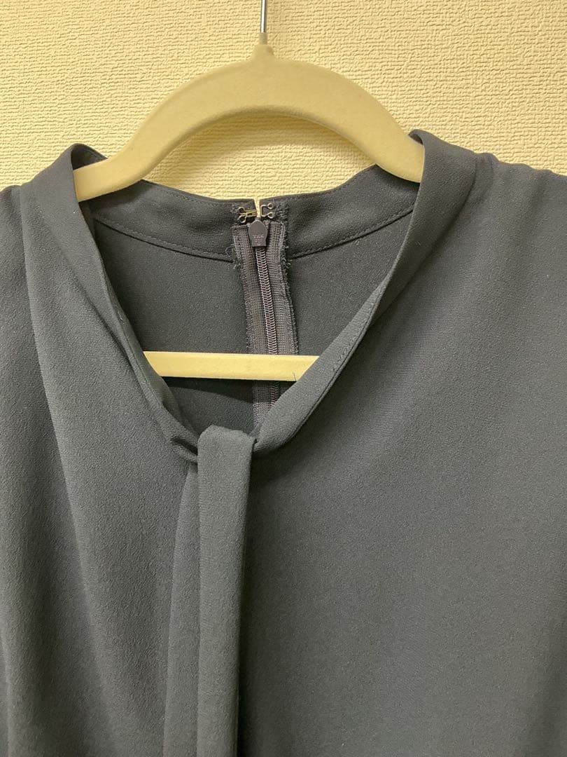 ANAYIアナイ クレープジョーゼットプリーツワンピース