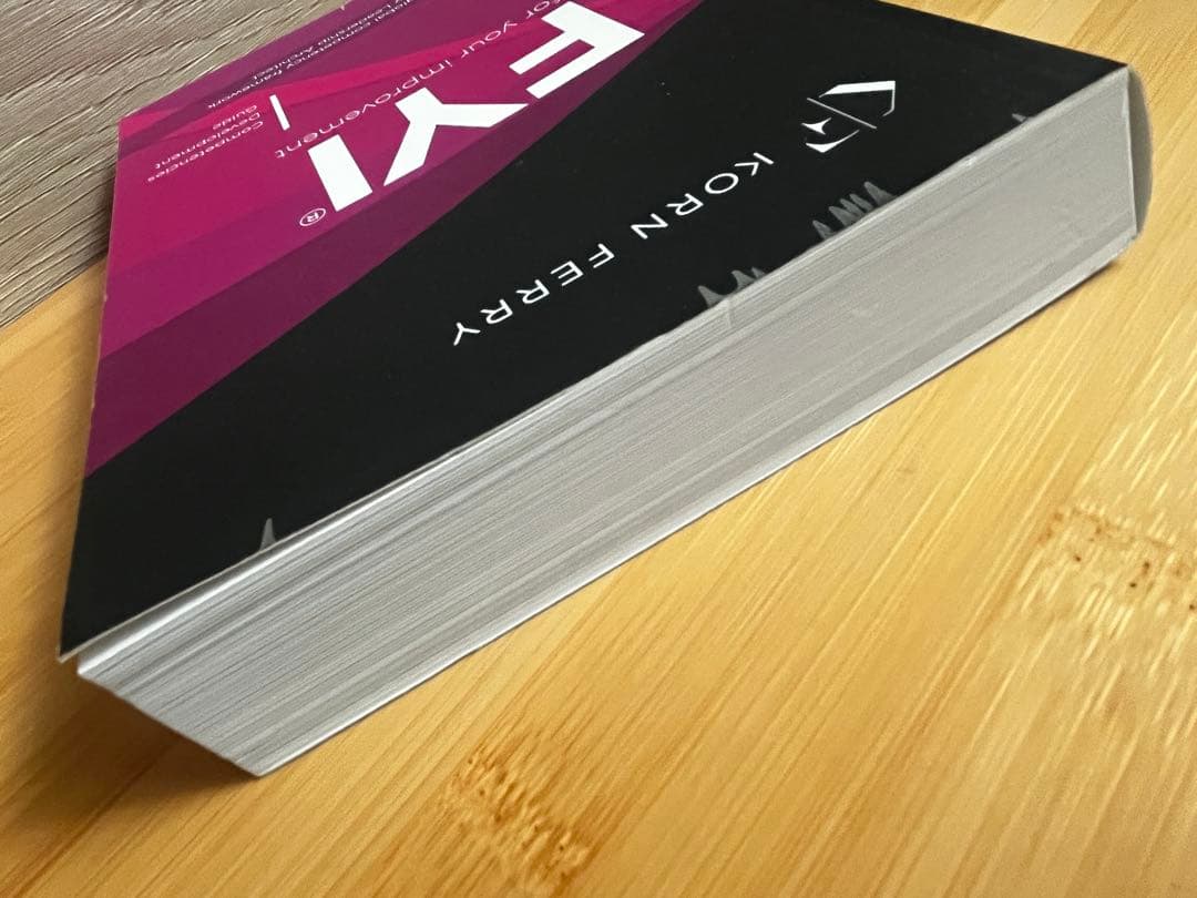 洋書 KORN FERRY FYI for your improvement