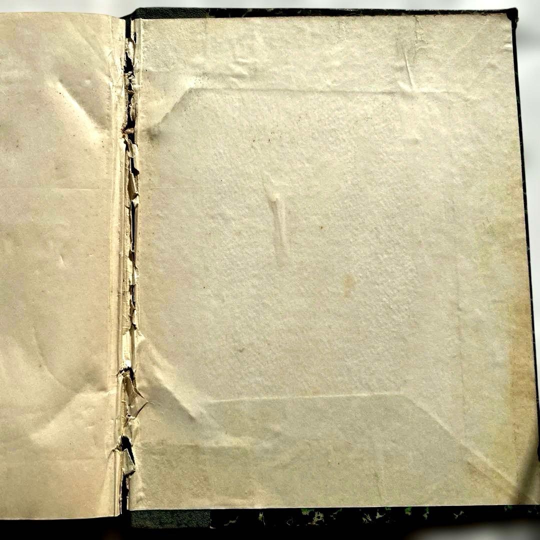 【一点限り】藤田嗣治 ポーゾル王の冒険 木版画 挿絵27点収録 ピエール ルイス