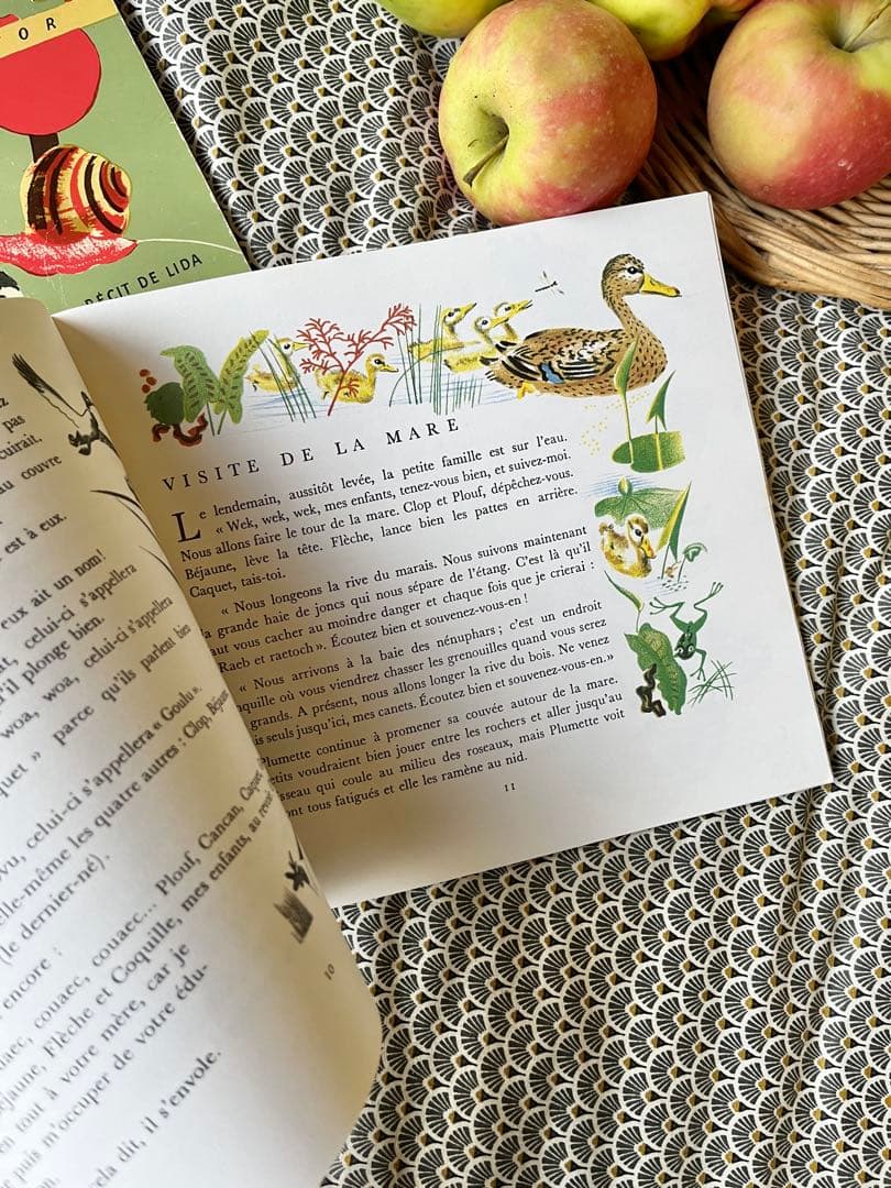 ◆希少フランス名作1900年代カストール絵本、動物自然昆虫鳥かわいいイラスト