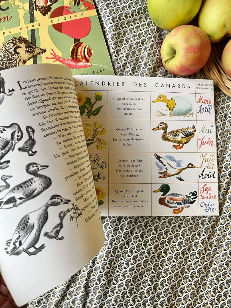 ◆希少フランス名作1900年代カストール絵本、動物自然昆虫鳥かわいいイラスト