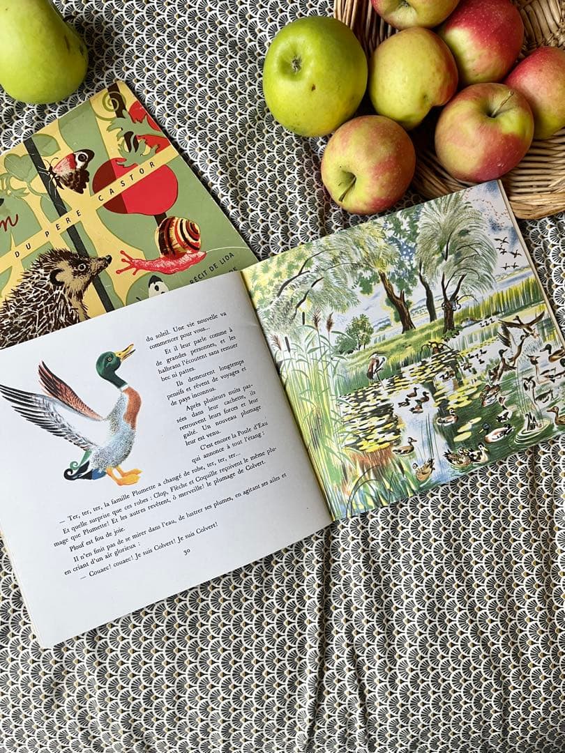 ◆希少フランス名作1900年代カストール絵本、動物自然昆虫鳥かわいいイラスト