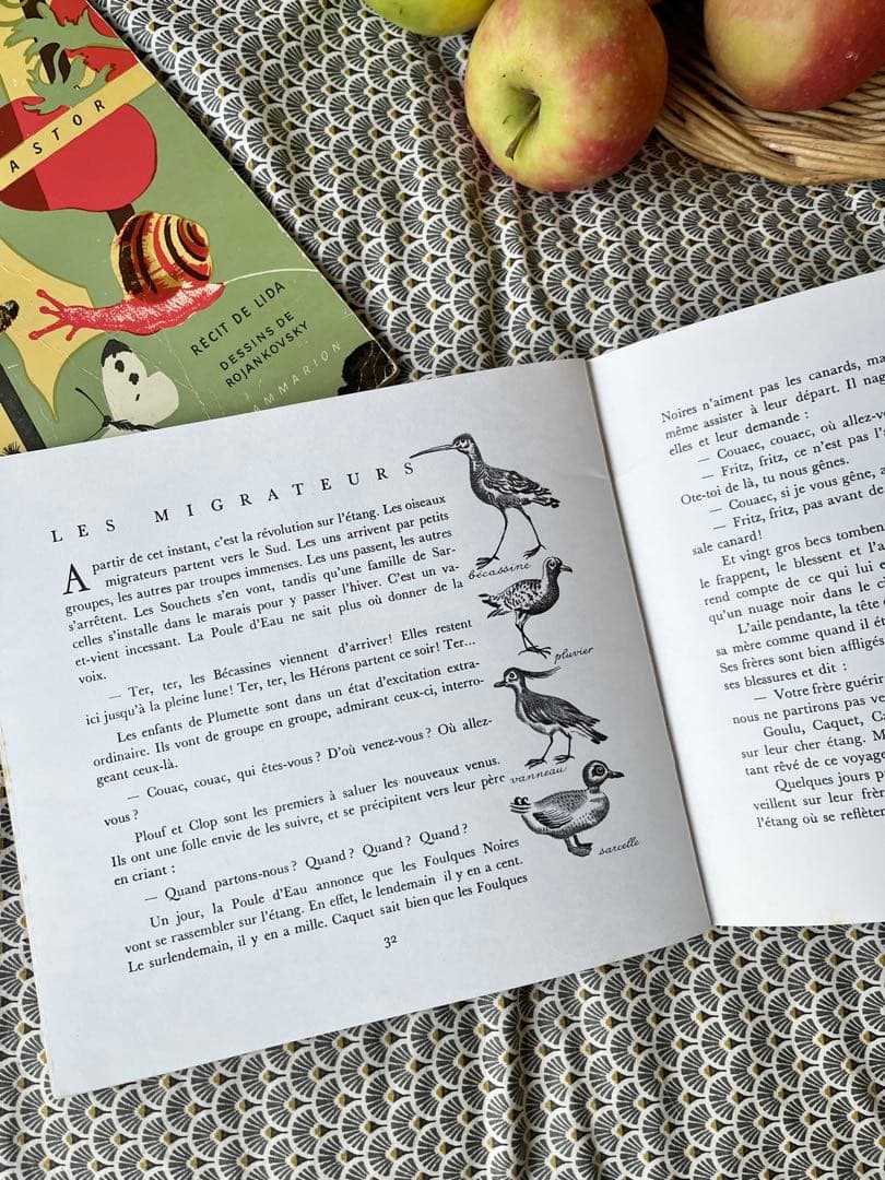 ◆希少フランス名作1900年代カストール絵本、動物自然昆虫鳥かわいいイラスト