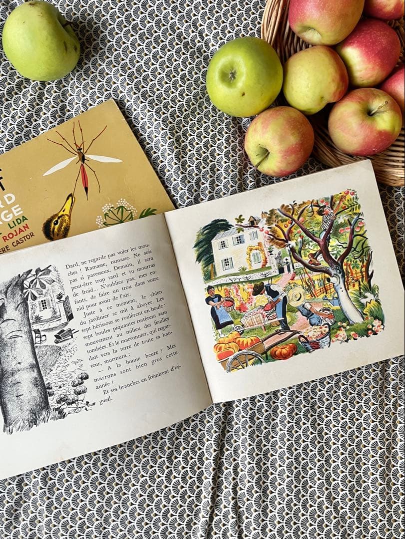 ◆希少フランス名作1900年代カストール絵本、動物自然昆虫鳥かわいいイラスト