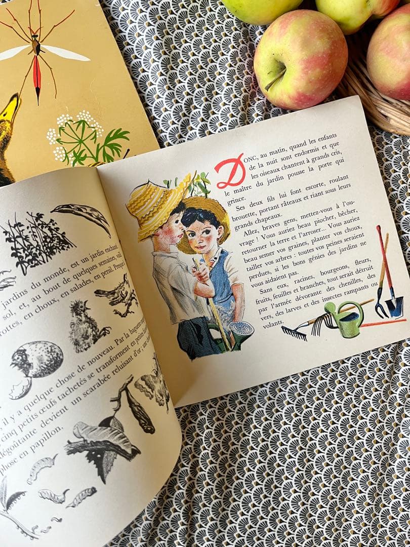 ◆希少フランス名作1900年代カストール絵本、動物自然昆虫鳥かわいいイラスト