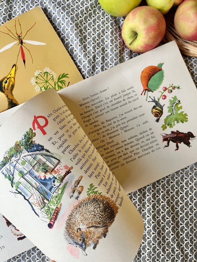 ◆希少フランス名作1900年代カストール絵本、動物自然昆虫鳥かわいいイラスト