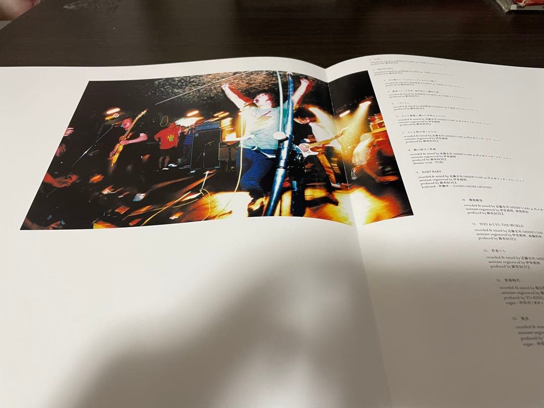 銀杏boyz 君と僕の第三次世界大戦的恋愛革命 LP