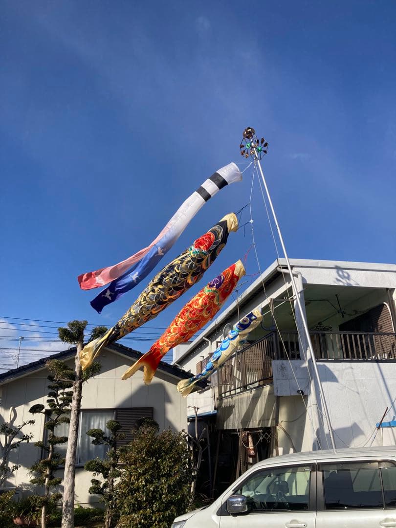 極上鯉のぼり皇彩4m 6点セット