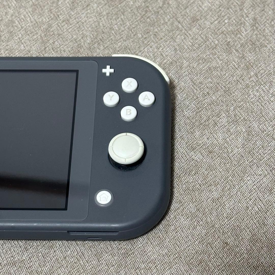 Nintendo Switch Lite グレー 本体 microSD128GB