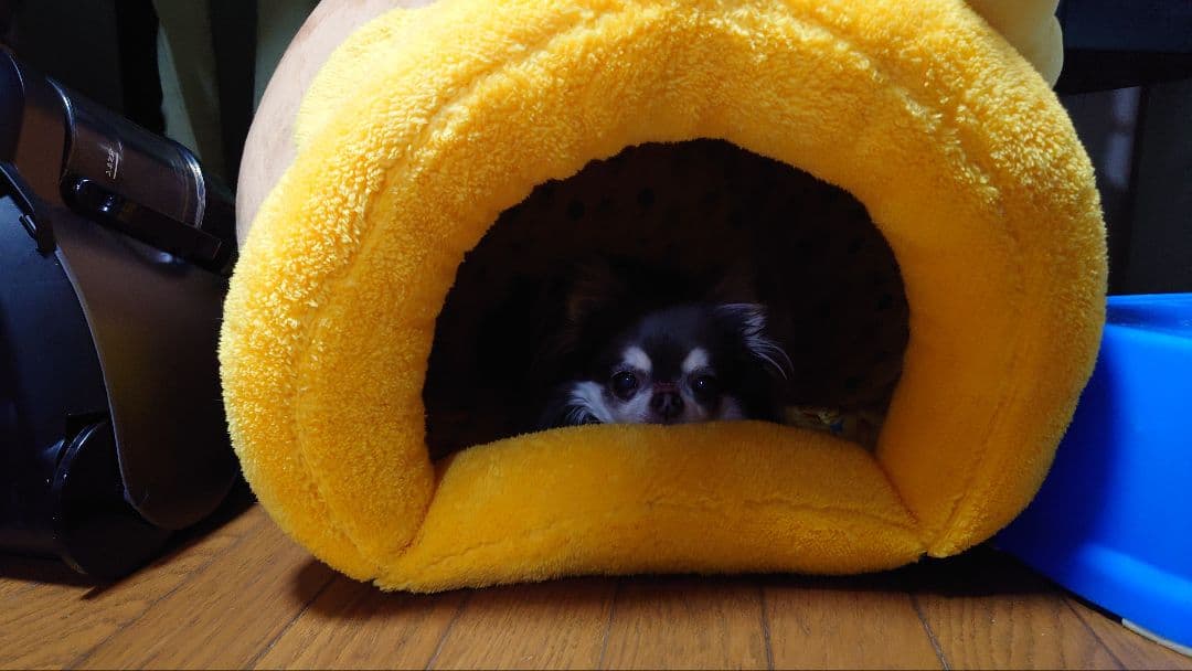 ディズニーくまのプーさん ハニーポット ハウス ¥13,200 税込