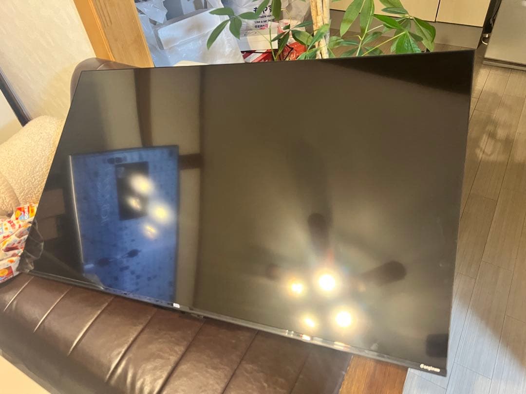 TCL 50P63E 50型 4K チューナーレステレビ 2022年製