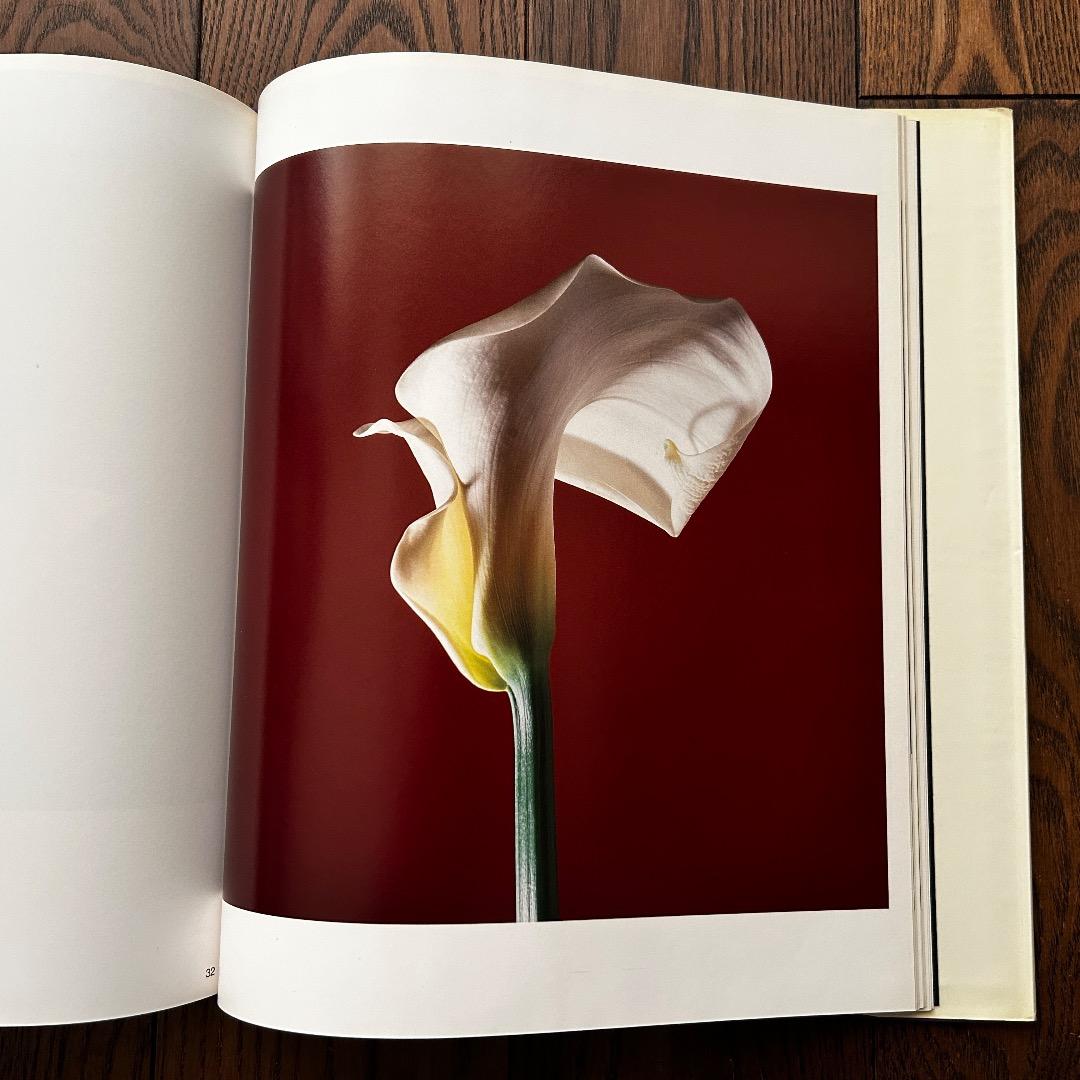 Flowers Mapplethorpe ロバート・メープルソープ写真集