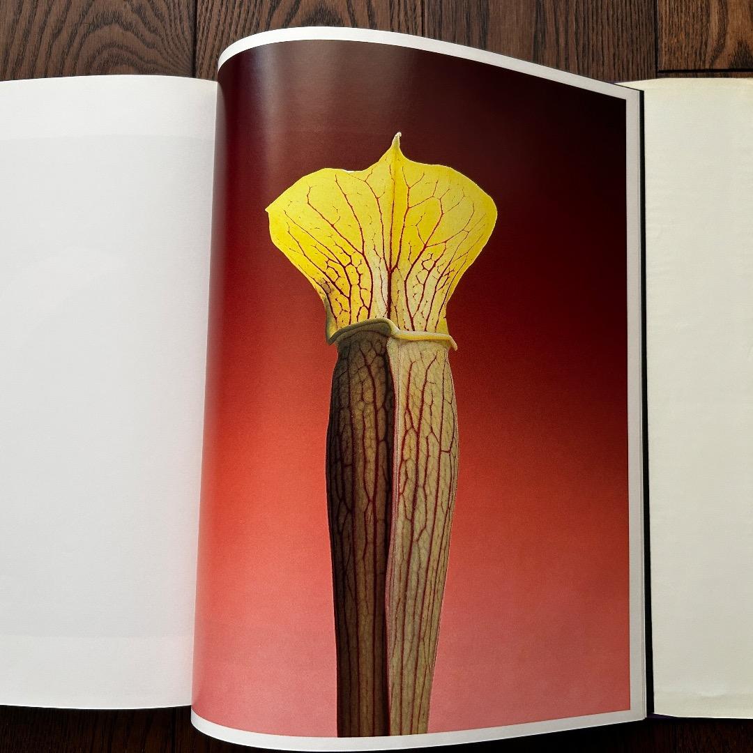 Flowers Mapplethorpe ロバート・メープルソープ写真集