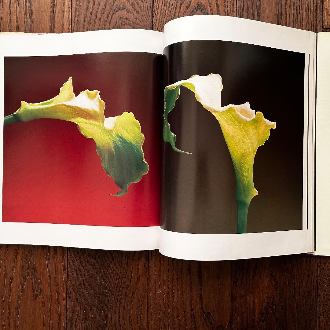 Flowers Mapplethorpe ロバート・メープルソープ写真集