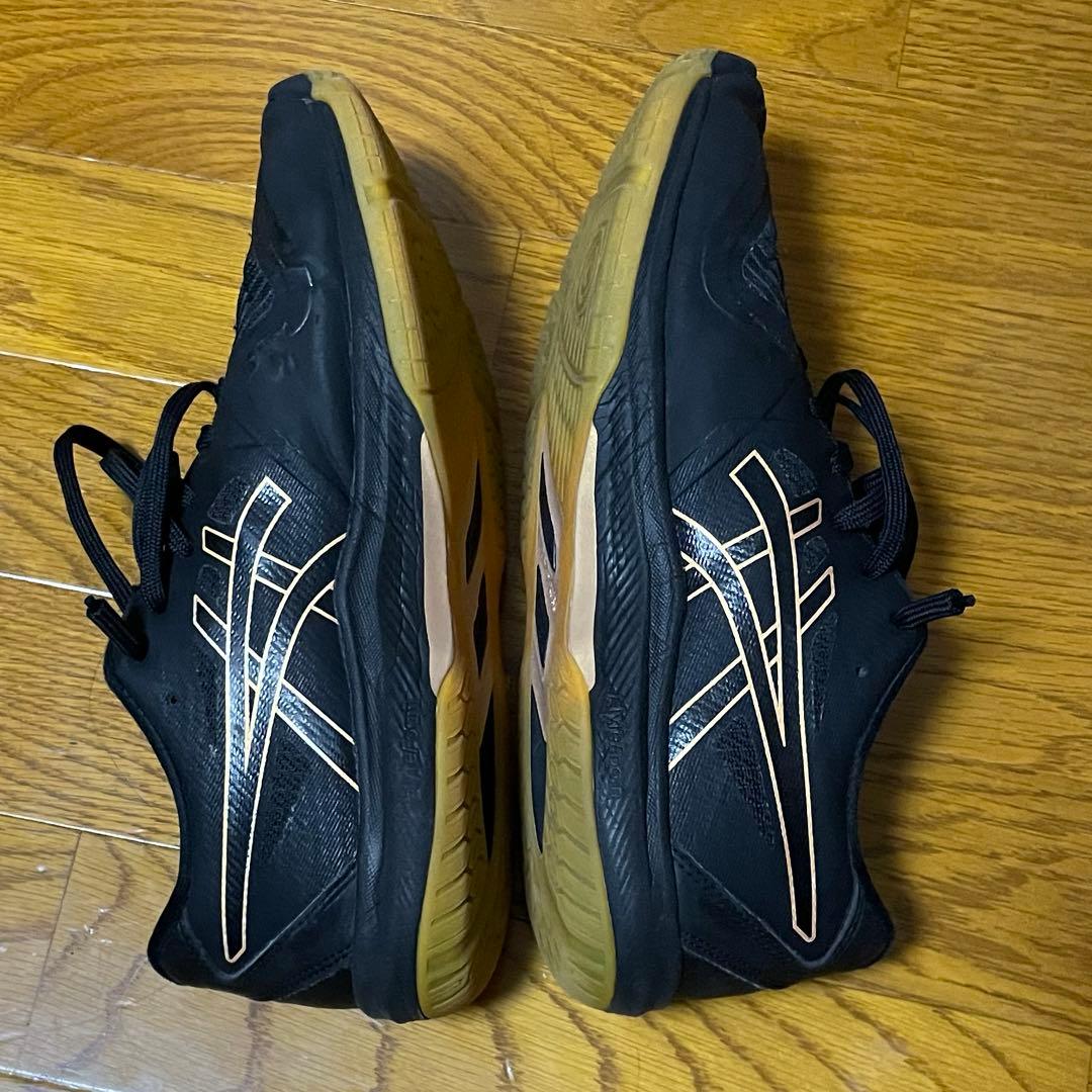 【美品】ローテジャパン 26.0