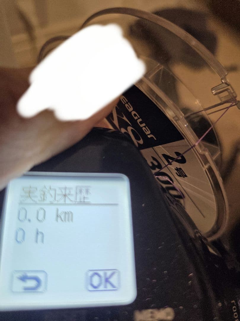 ダイワ 23 レオブリッチ 300J 電動リール バッテリーセット DAIWA