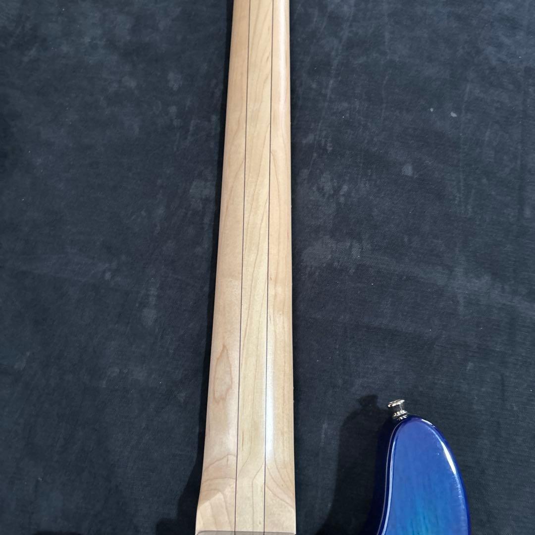 油*圧様 Bacchus WJB5-BP/Act BL-B 5弦ベース アクティ