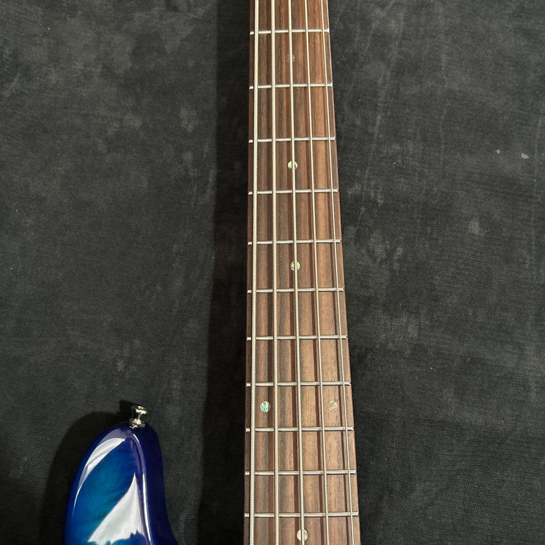 油*圧様 Bacchus WJB5-BP/Act BL-B 5弦ベース アクティ