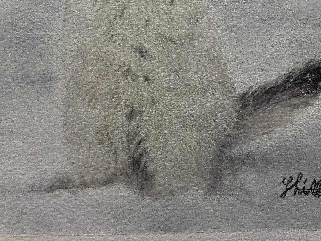 “雪だぁ‼︎” 色鉛筆画 パステル