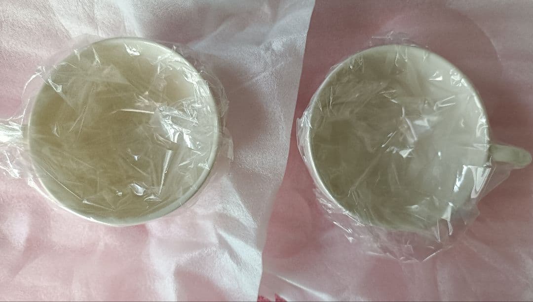 未使用ラルフローレン　プレート20㎝2枚　カップ&ソーサーペア　セット