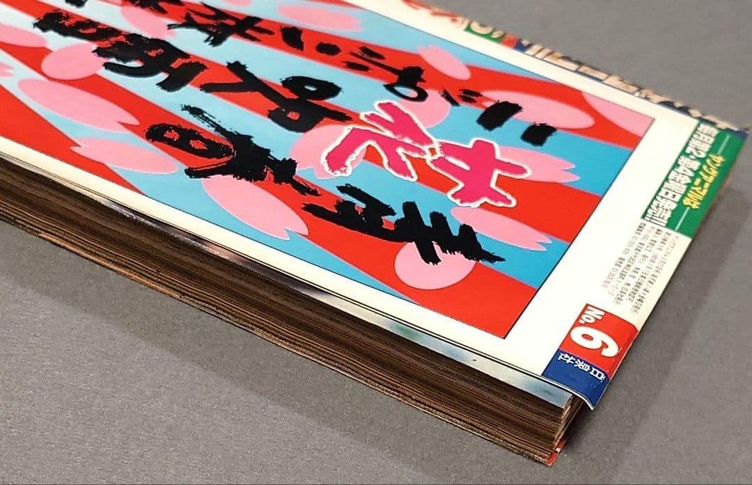 ヤングアニマル1998年6号ベルセルク巻頭カラー/第117話/三浦建太郎