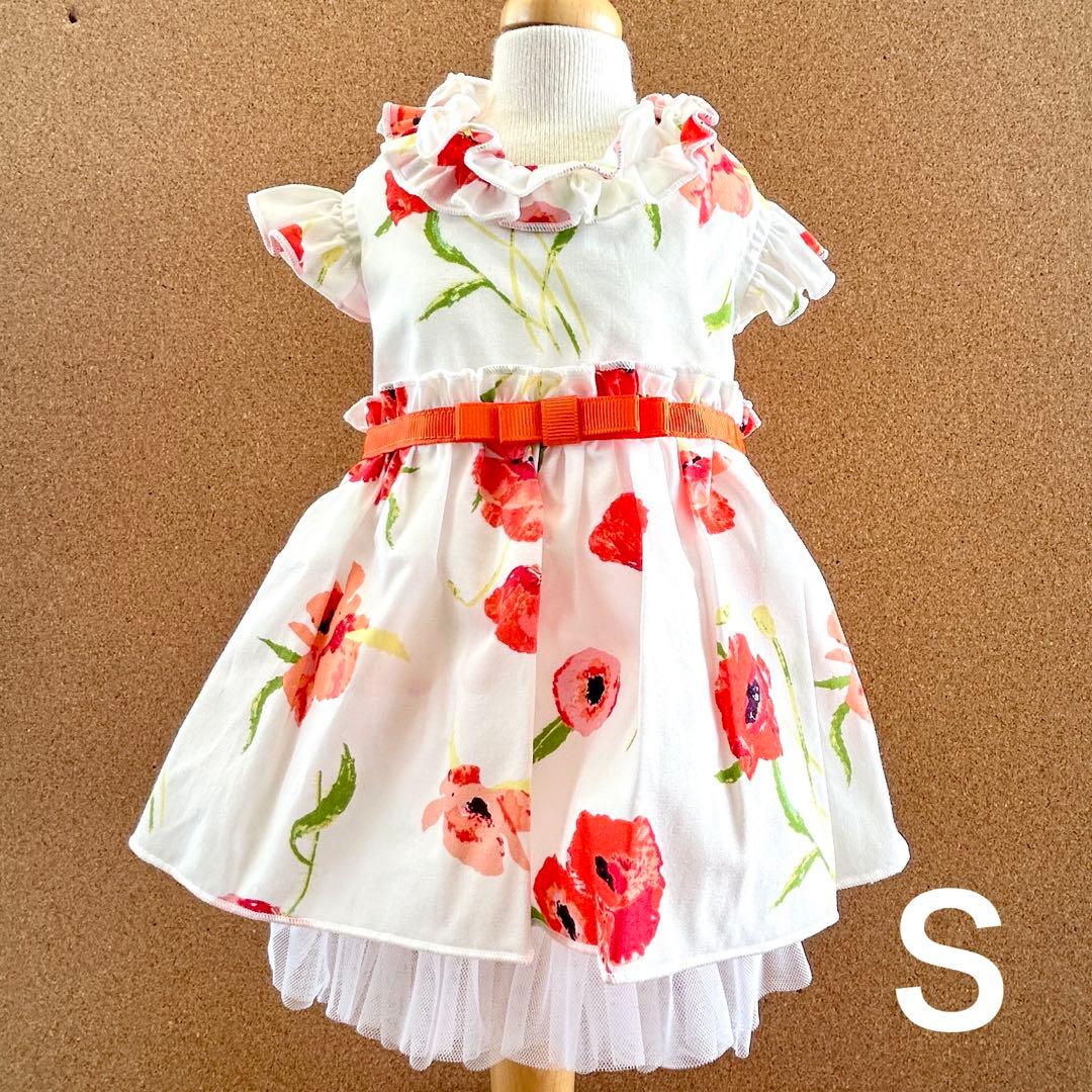 犬服・アクセサリー Teasure