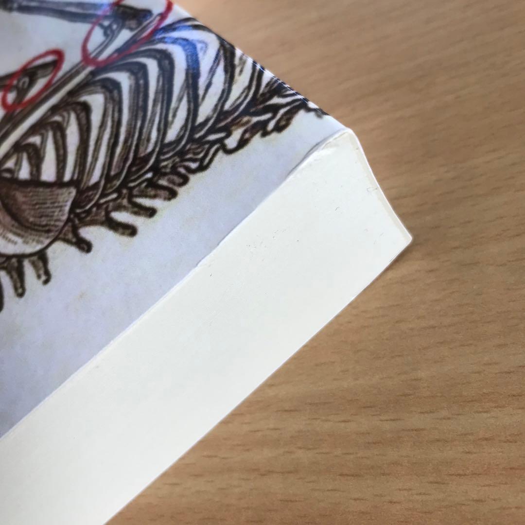 Anatomy of the Cat ほか猫解剖学関連書籍　４点セット