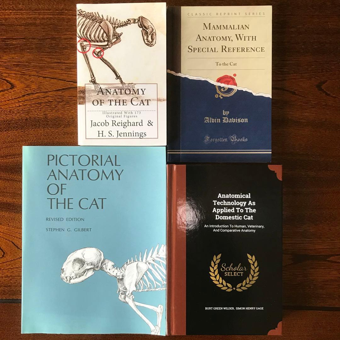 Anatomy of the Cat ほか猫解剖学関連書籍　４点セット
