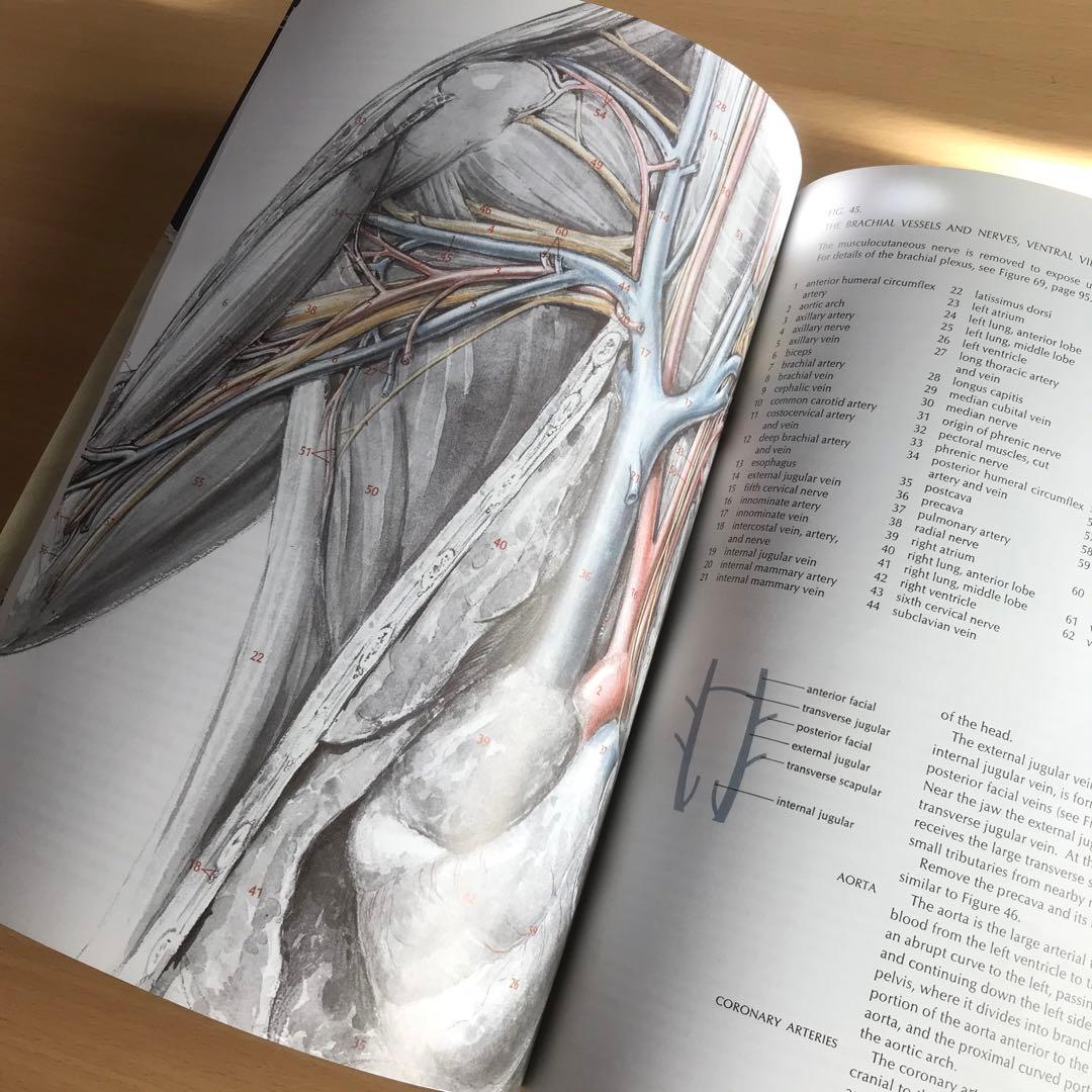 Anatomy of the Cat ほか猫解剖学関連書籍　４点セット
