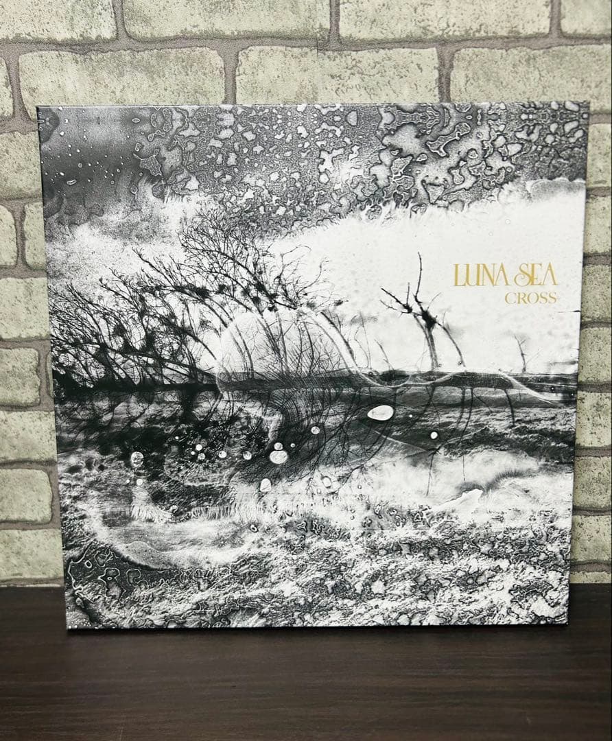 LUNA SEA CROSS SLAVE限定 PREMIUM BOX B