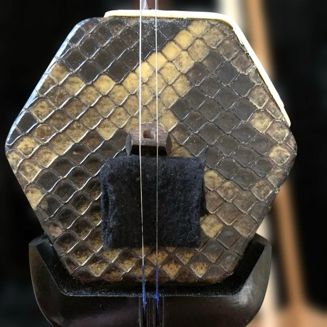 二胡. 敦煌牌. 蛇皮 上海民族楽器 セミハードケース 付属品