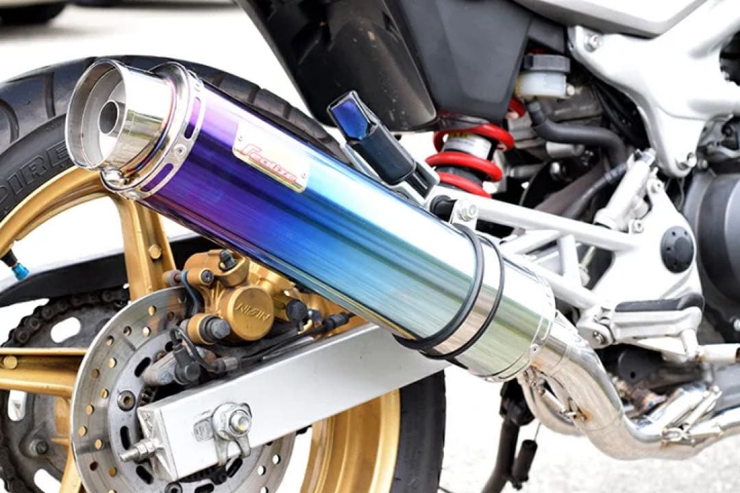 Realize ホンダ VTR250 Aria TI スラッシュTypeS