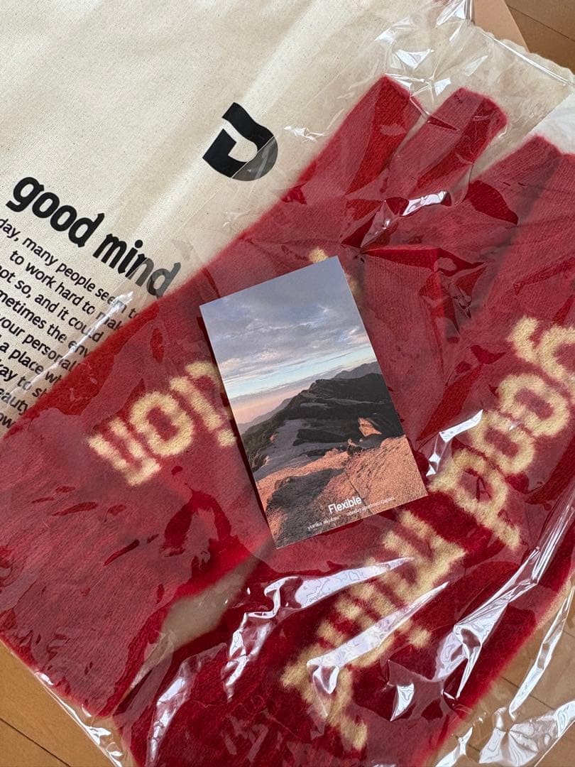 Don't tell anyone ドンテル　手袋　wool gloves