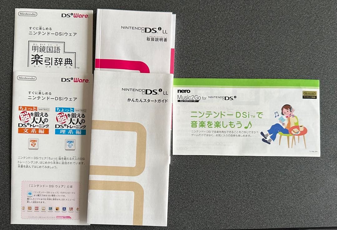 ニンテンドー DS 本体 カセット