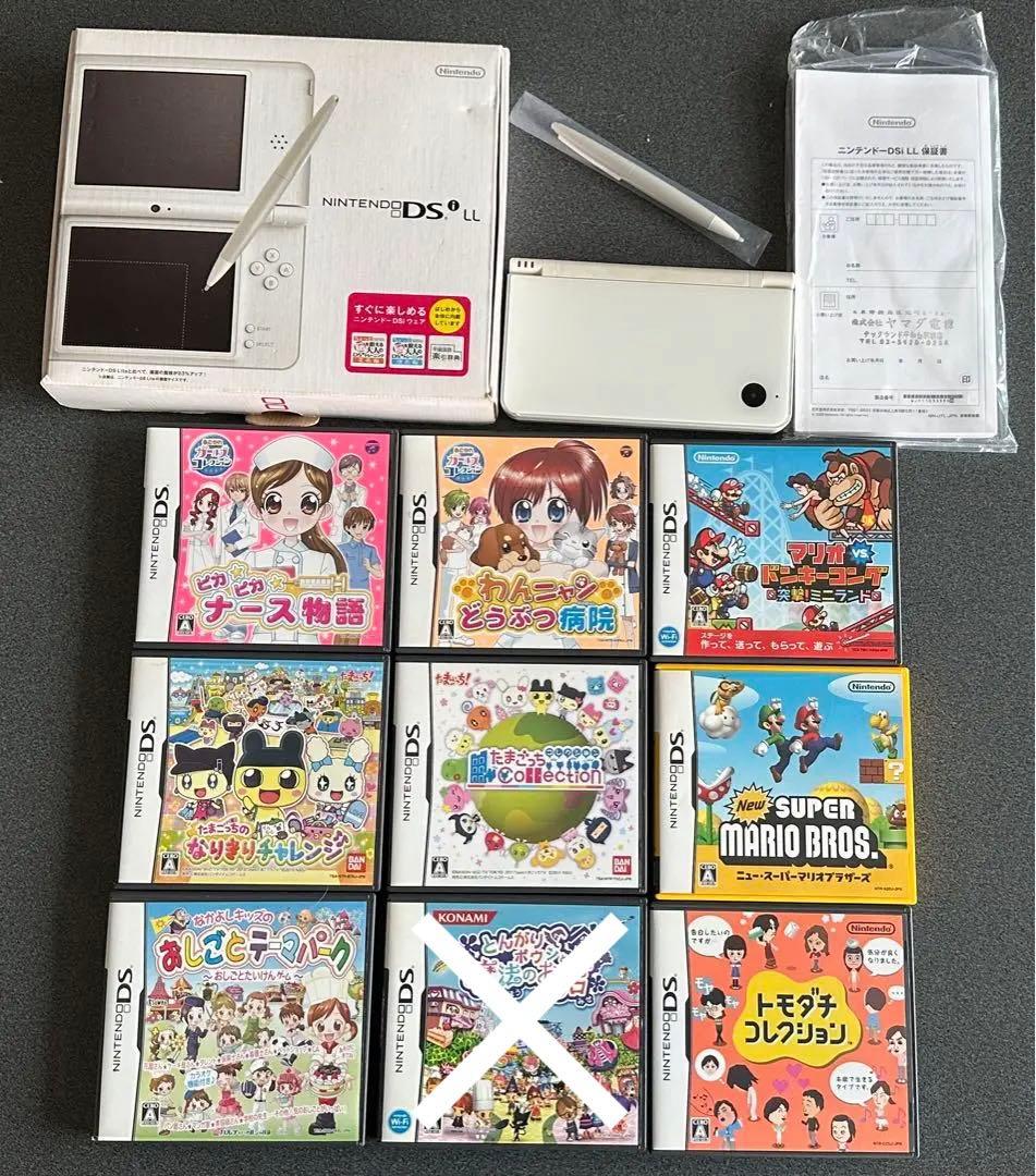 ニンテンドー DS 本体 カセット