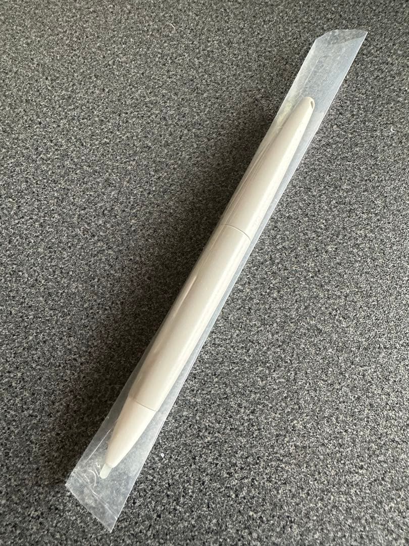 ニンテンドー DS 本体 カセット