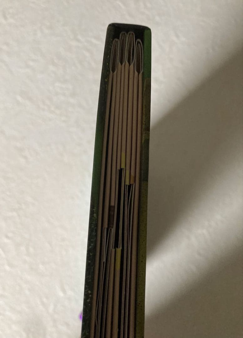 Victorian Dolls House　しかけ絵本　未使用