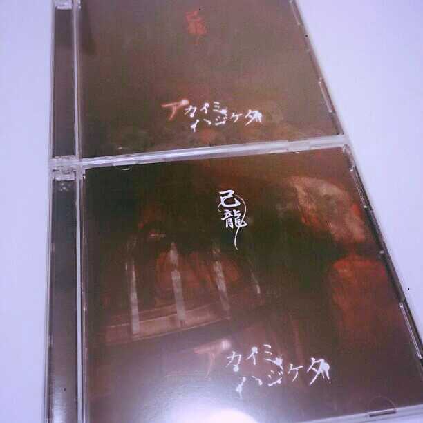 己龍 アカイミハジケタ