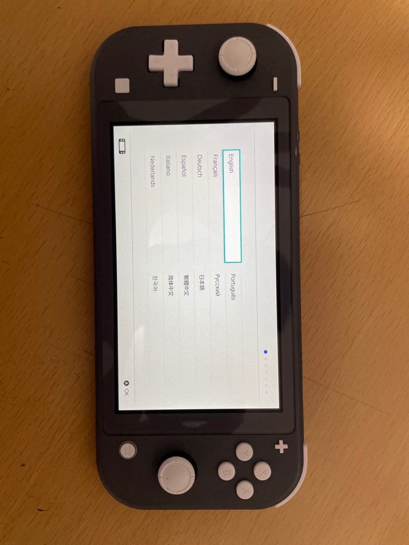 Nintendo Switch Lite グレー本体（その他)